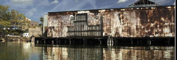 The Gowanus Canal’s Beacon of Hope